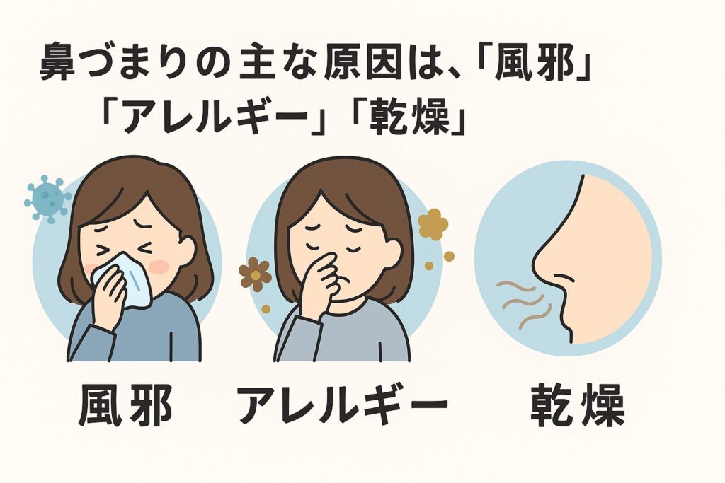 鼻づまりの主な原因は、「風邪」「アレルギー」「乾燥」図解